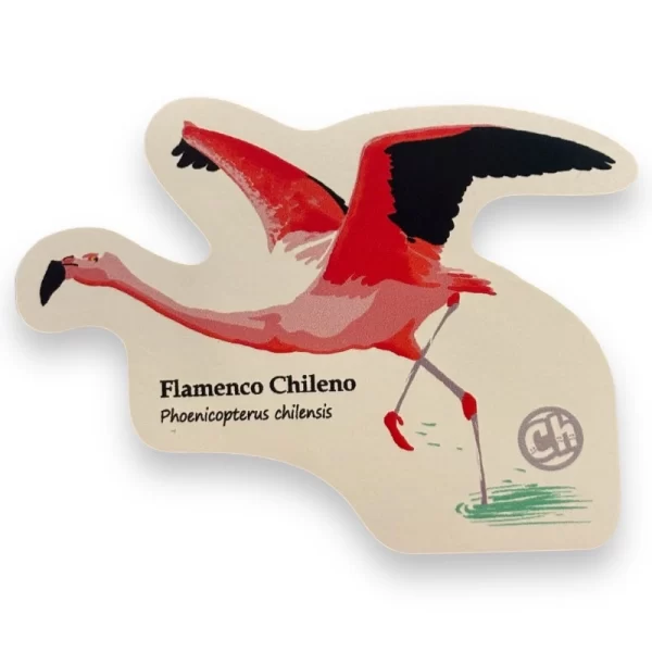 Sticker Flamenco Chileno