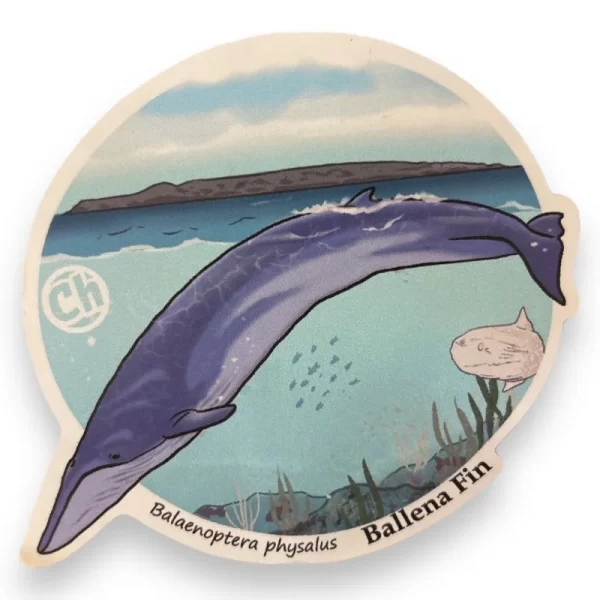 Sticker Ballena Fin