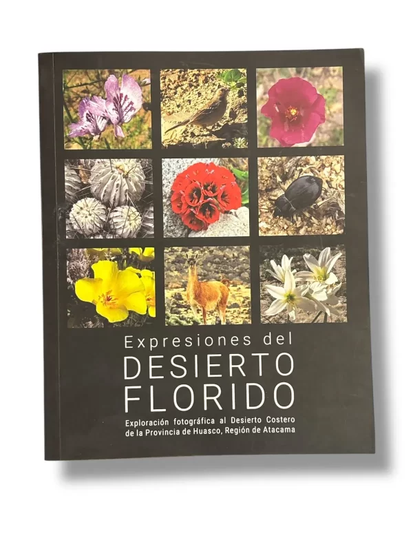 Expresiones del desierto florido